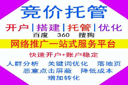 竞价排名案例：跨平台推广效果分析